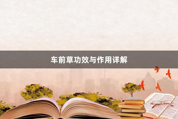 车前草功效与作用详解